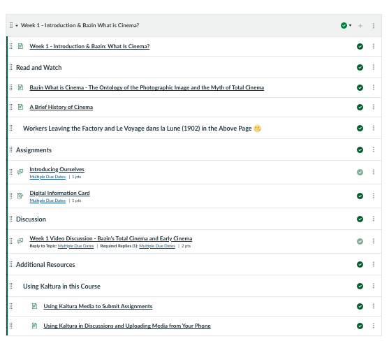 A module in Canvas for Analyzing Screen Media. 